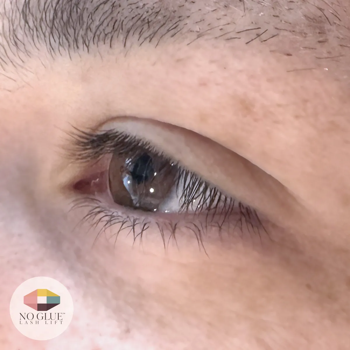 Before — Korean No-Glue Lash Lift model one